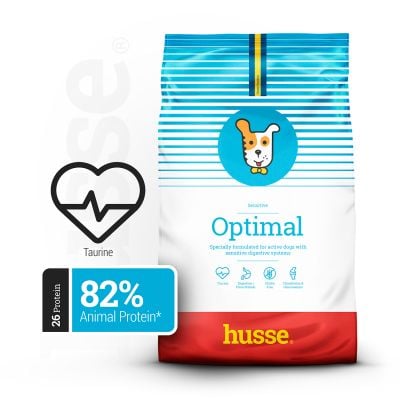 Sensitive Optimal | Ushqim i plotë për qentë aktivë me tretje të ndjeshme