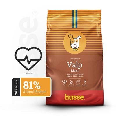Valp Maxi | Ushqim i ekuilibruar për këlyshët e racave të mëdha